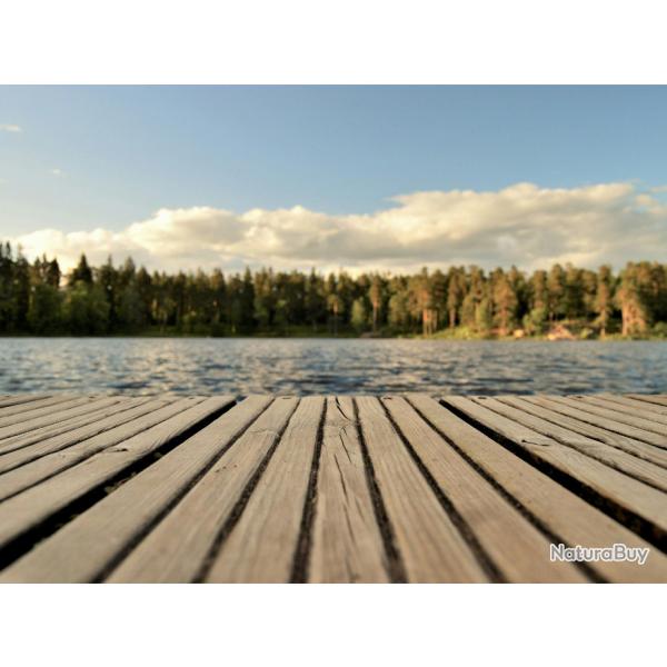 Coup de coeur sur 14 ha pour amoureux de nature et investisseurs, proche de Lille (Nord 59)