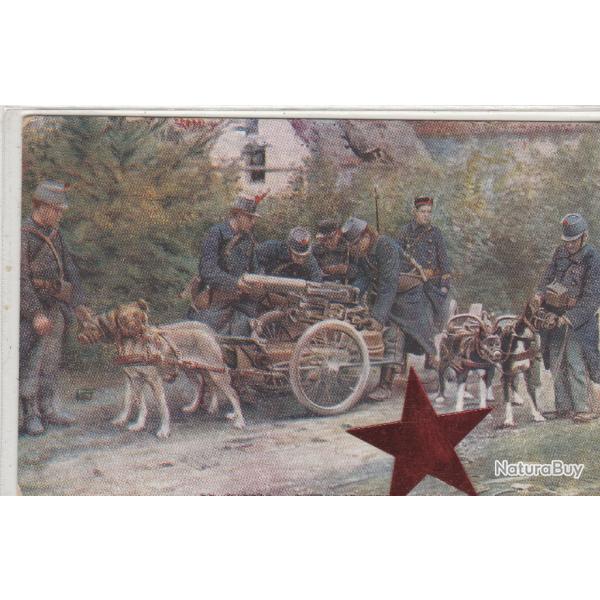 CPA-Guerre - Mitrailleuses belges Attelage de Chiens-N�033