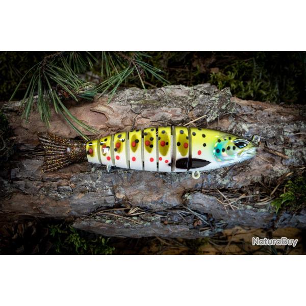 S-FUNKY 157 - Browntrout