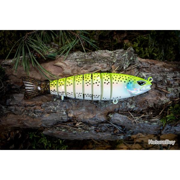 S-FUNKY 157 - Rainbowtrout