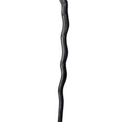 Canne &agrave; t&ecirc;te de dragon