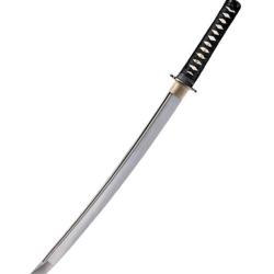 Wakizashi Warrior