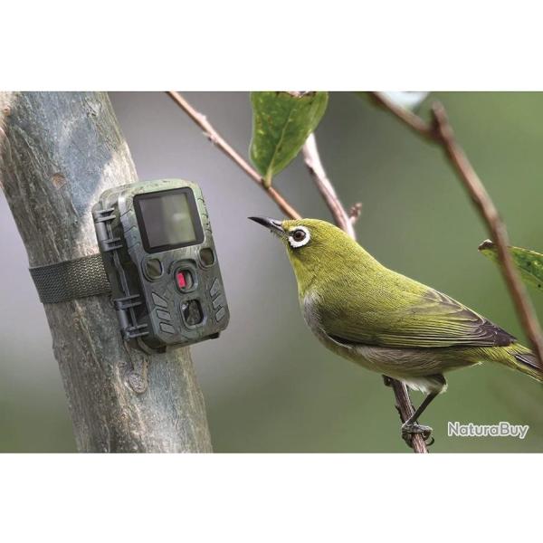 mini camera de chasse