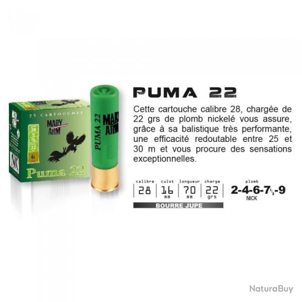 25 cartouches MARY ARM PUMA 22 Cal.28/70 n� 4 nickel�