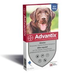 ADVANTIX GRAND CHIEN X4 PIPETTES DE 4.0ML POUR CHIEN DE 25 A 40KGS