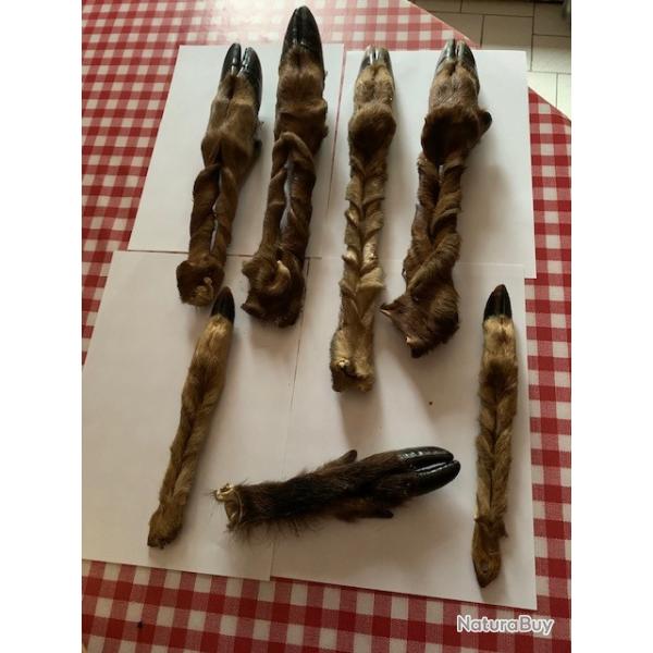 Pattes de cerf, chevreuil, sanglier tress�es