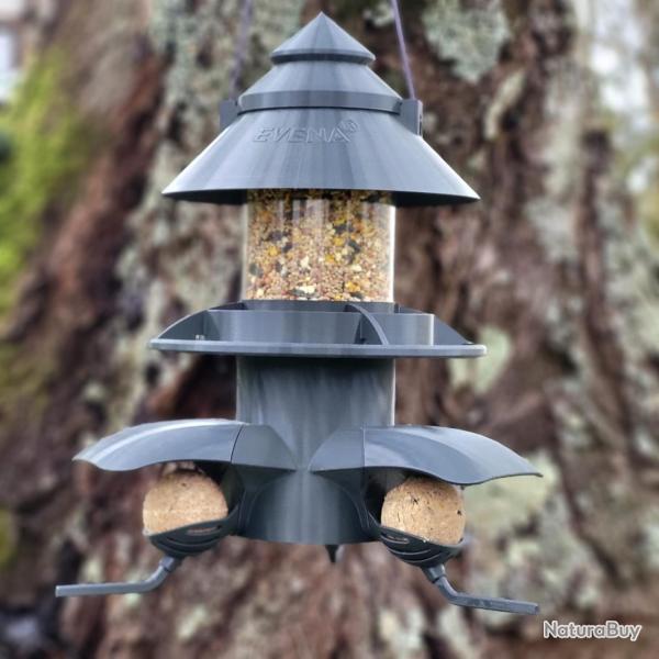 Mangeoire/Distributeur Oiseaux Sauvage C�leste + Gris Anthracite