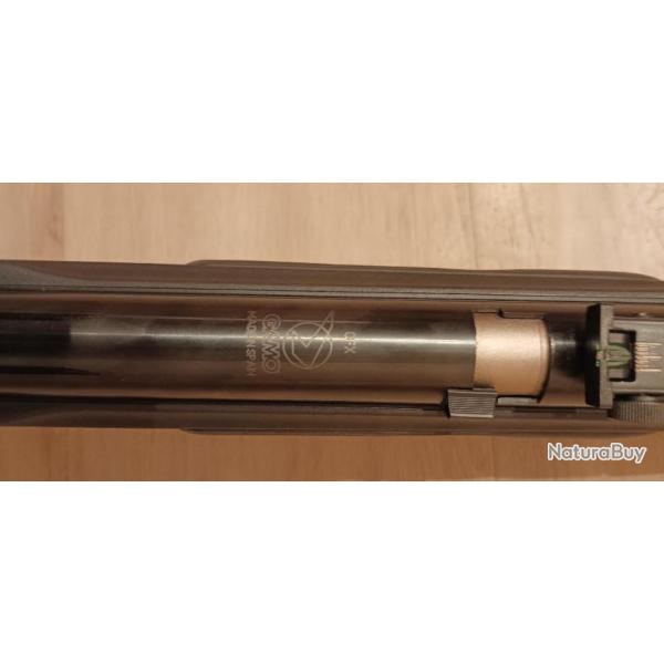 Carabine air comprim�