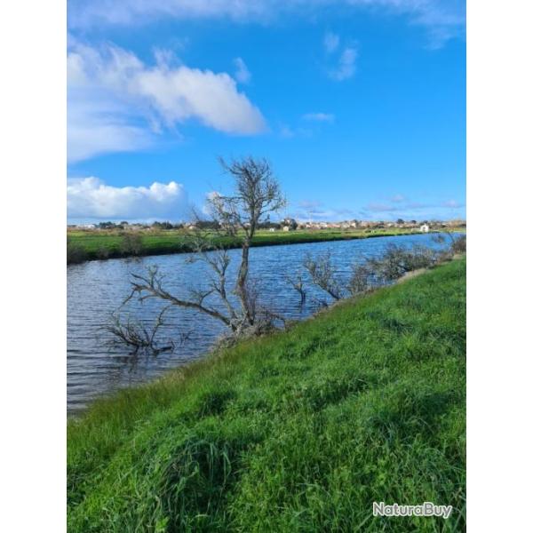 Terrain de plus de 2 hectares - Marais Saint Gilles Croix de Vie (85800)