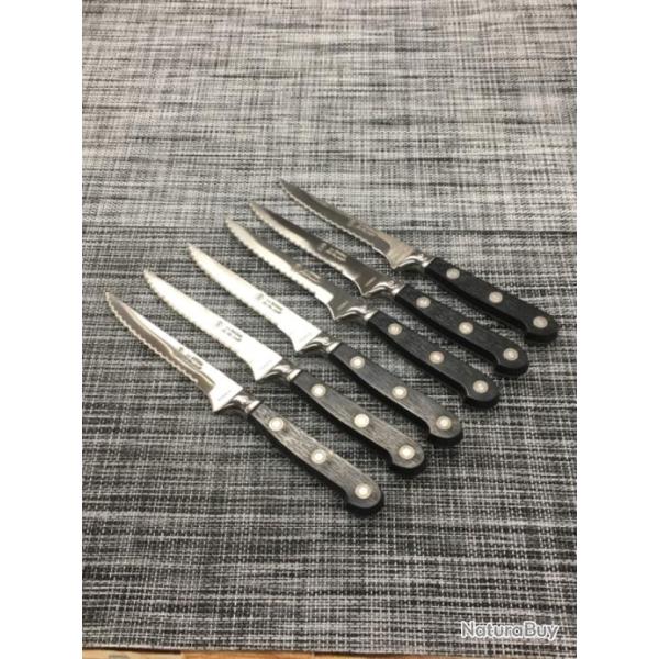 Lot de 6 couteaux de table La fourmi 