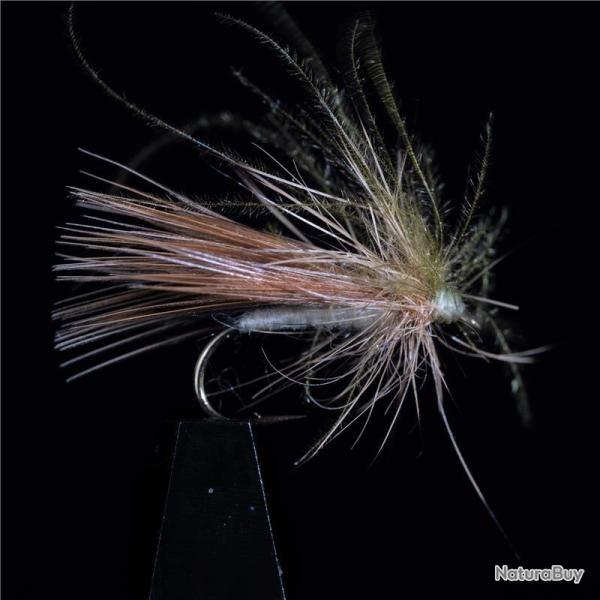 MOUCHE BRACCHY H14 PAR 3