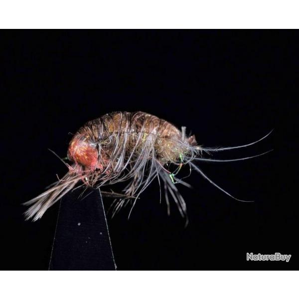 MOUCHE JCC 133 H14 PAR 3