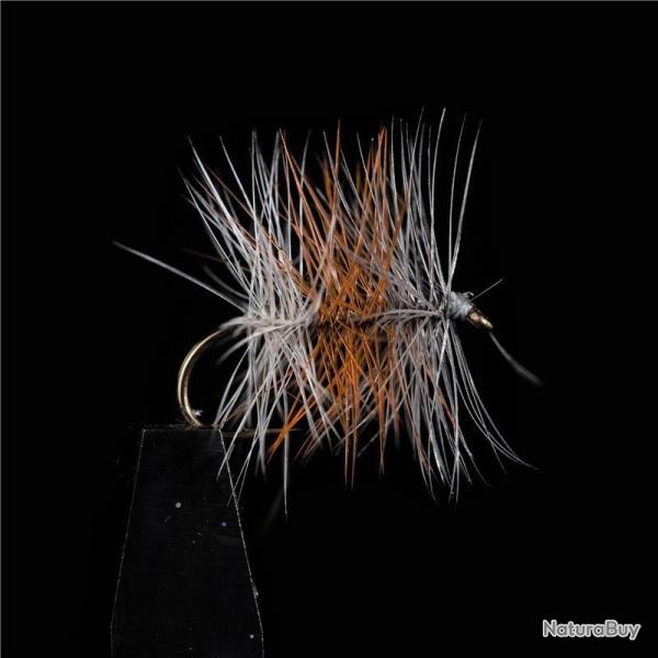 MOUCHE TRICOLORE CLAIRE H16 PAR 3