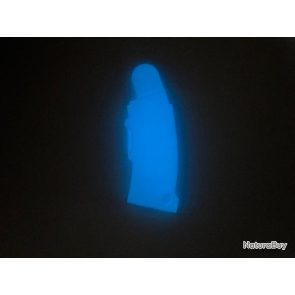 T�moin chambre vide cz 457 model chargeur bleu phosphorescent