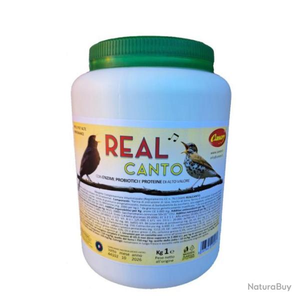 REAL CANTO Haute Performance - Canary