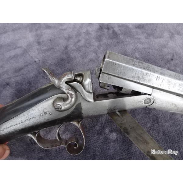 Superbe fusil canardier � percussion chien ext�rieur calibre 10..