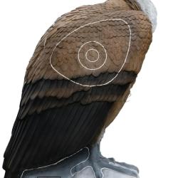 SRT 3D CIBLE VAUTOUR FAUVE