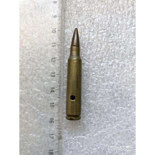 Cartouche neutralis�e 223 REM (M 87.9S)