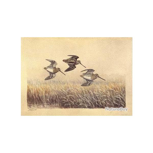 Reproduction limite et signe par l'auteur d'une gravure d'un vol de bcassines