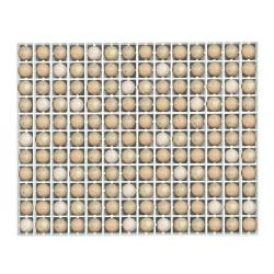 Panier d'incubation 154 oeufs de perdrix TR154