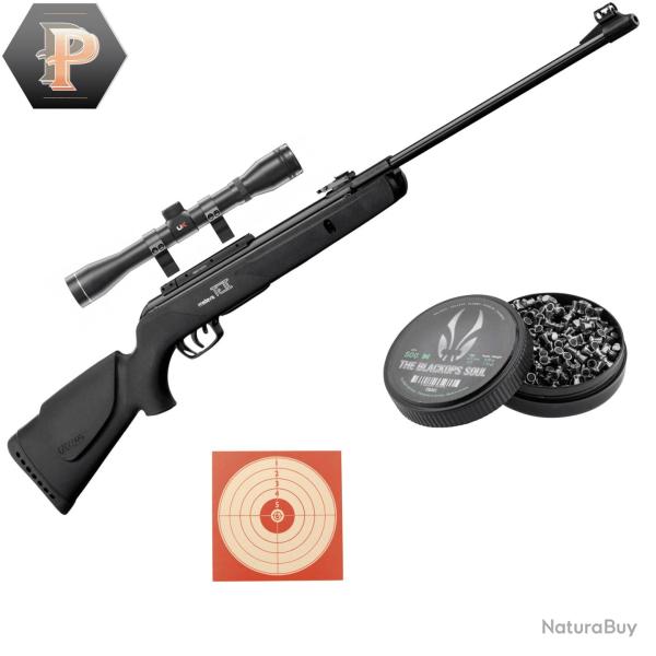 Carabine � plomb Gamo BIG CAT 1000-E IGT Calibre 4.5 + plombs + lunette 4x32 + cibles