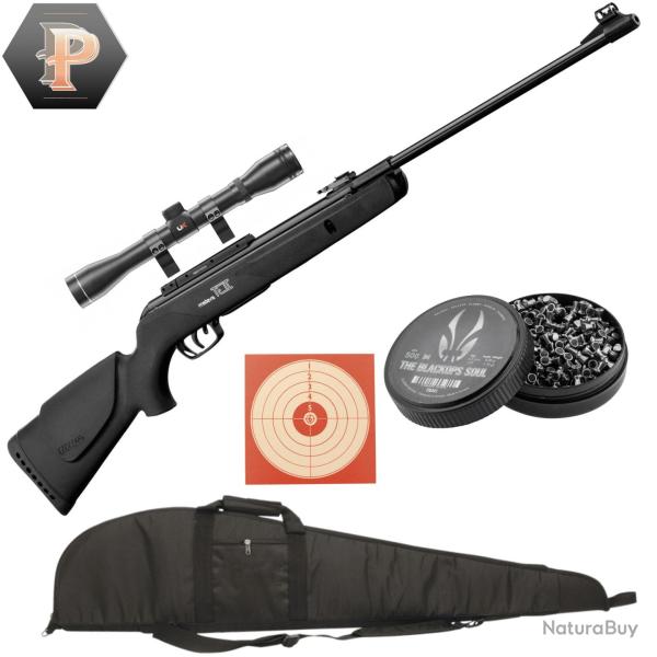 Carabine � plomb Gamo BIG CAT 1000-E IGT Calibre 4.5 + plombs + lunette 4x32 + cibles + fourreau