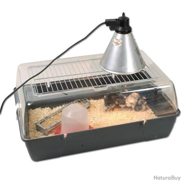 Kit de d�marrage pour �levage de poussins