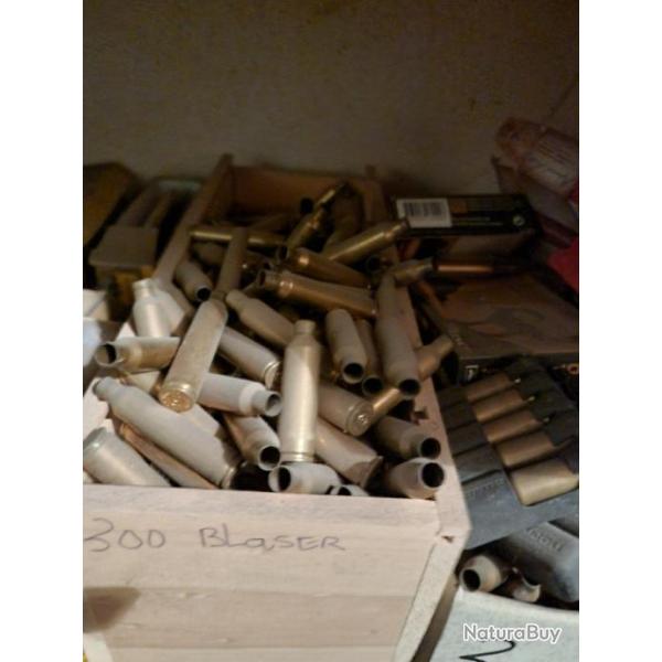 Douilles gros lot 300 blaser
