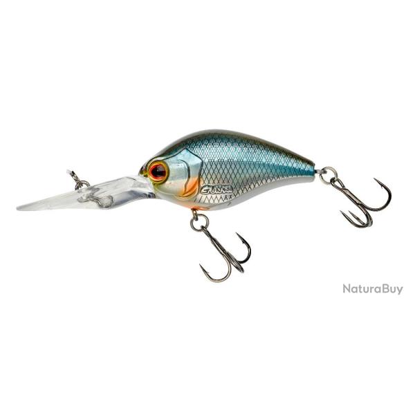 RAIJU 45 F Roach tendance