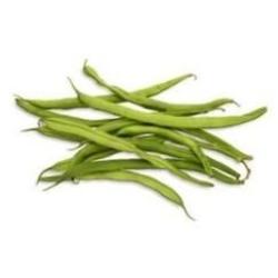 graines d'Haricots verts