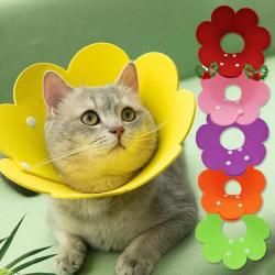 Collier Collerette Recuperation pour Chat & Petit Chien-Au Choix-Au Choix 20260729082523