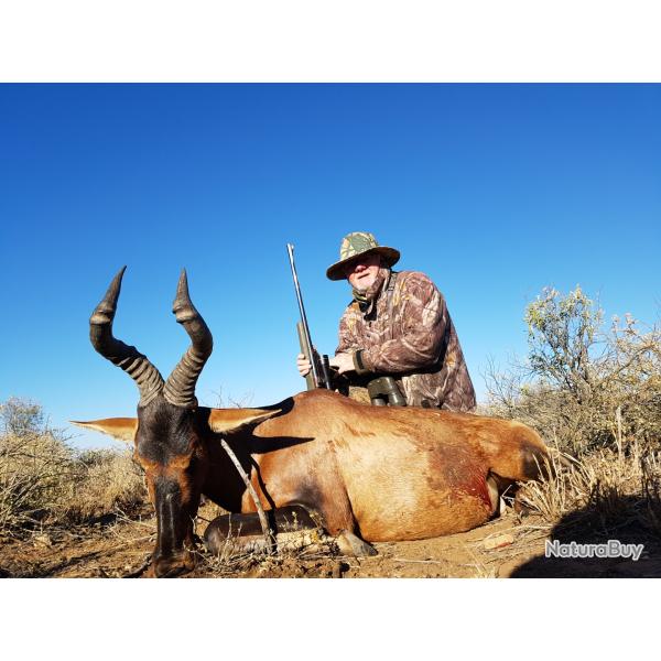 Sjour Chasse en NAMIBIE