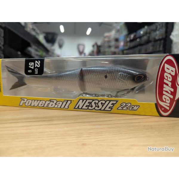 Berkley NESSIE 22cm roach