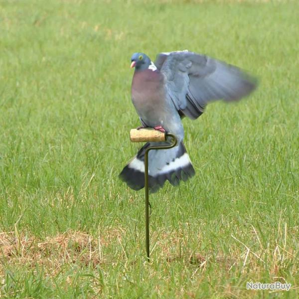 Rouleau �lectrique pour pigeons