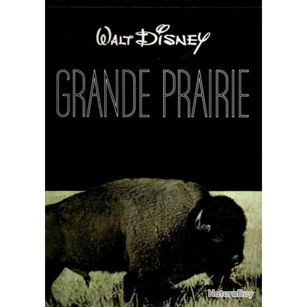 grande prairie de walt disney de louis bomfield +  livre offert