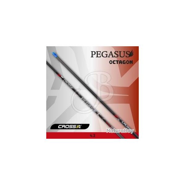 CROSS-X - Tube PEGASUS OCTAGON 4.2 (x6) 500