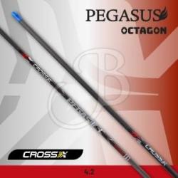 CROSS-X - Tube PEGASUS OCTAGON 4.2 (x6) 2000