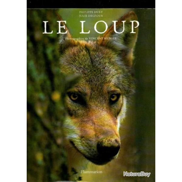 Le loup de philippe huet et julie delfour