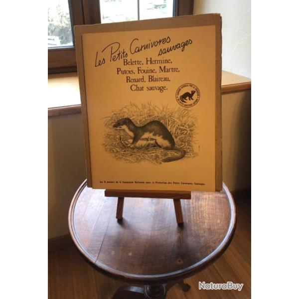 les petits carnivores sauvages , d'apr�s La Hulotte