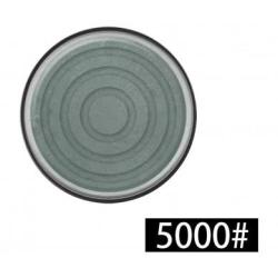 Disque d'aff&ucirc;tage pour rouleau aff&ucirc;teur &Oslash;50mm - 5000 #