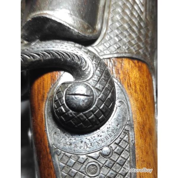 fusil a chiens de collection