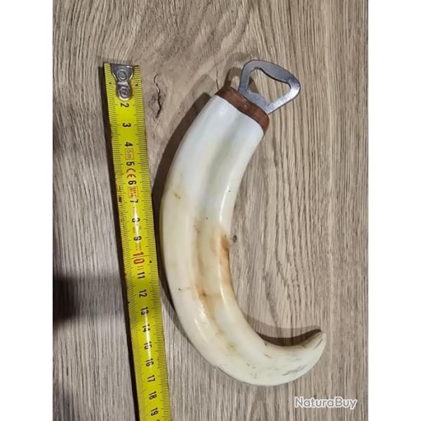 Dent phacoch�re d�capsuleur