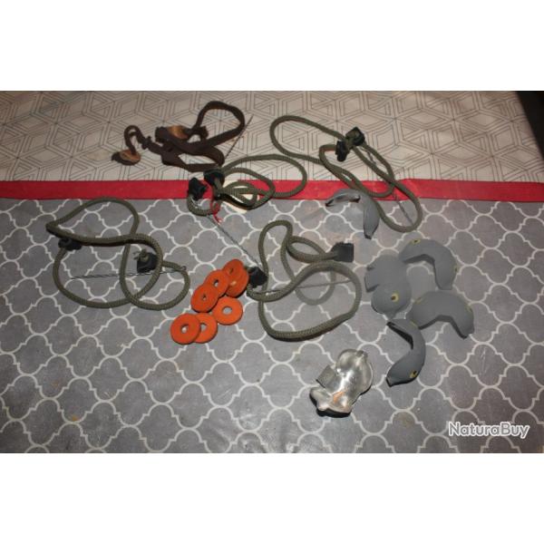 articles chasse du pigeons