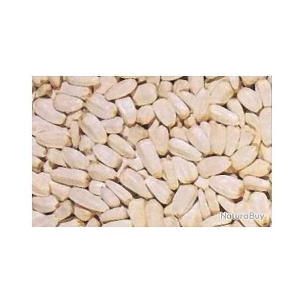 TOURNESOL BLANC 10KGS