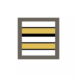 Grade militaire haute visibilit&eacute; blanc Lieutenant-colonel