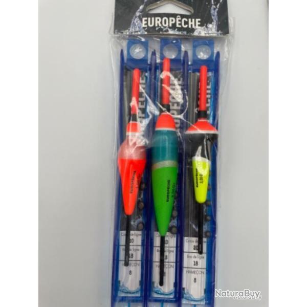 Ligne mont�e europ�che H8