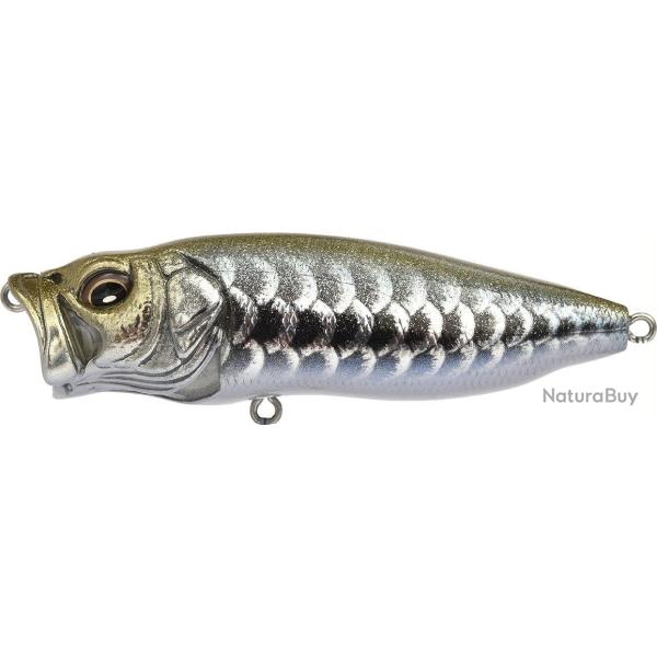 Leurre MEGABASS Pop Max DRAGON FISH S
