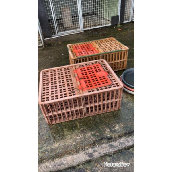 caisse transport elevage