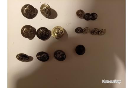 LOT BOUTONS VENERIE CHASSE MOTIF ANIMAL REF03285J