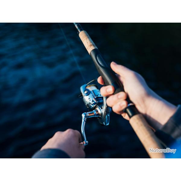 Propri�t� de 5 ha avec �tangs profonds et poissonneux, pr�s de Saint Omer (Nord-Pas de Calais 59 62)